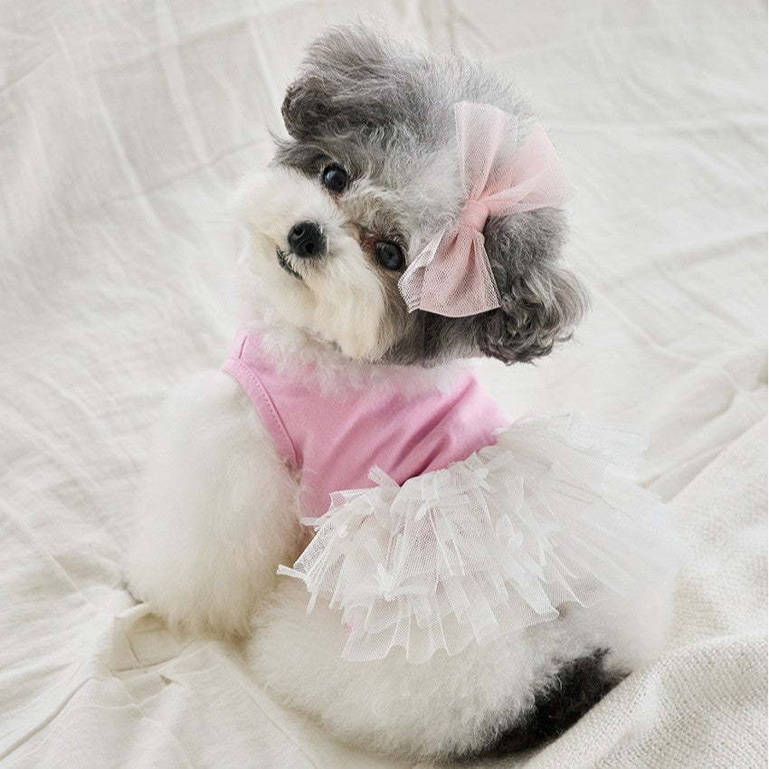 WITH TORY | リボンチュチュワンピース - 韓国犬服・ドッグウェア通販