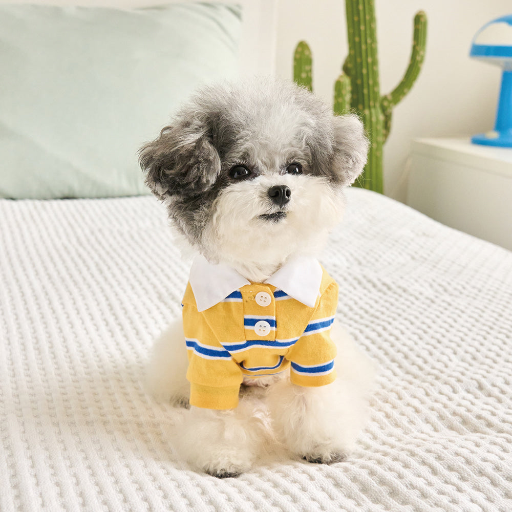 【予約】ストリングカラーTシャツ