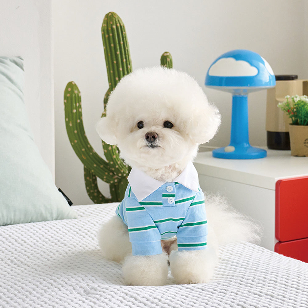 【予約】ストリングカラーTシャツ