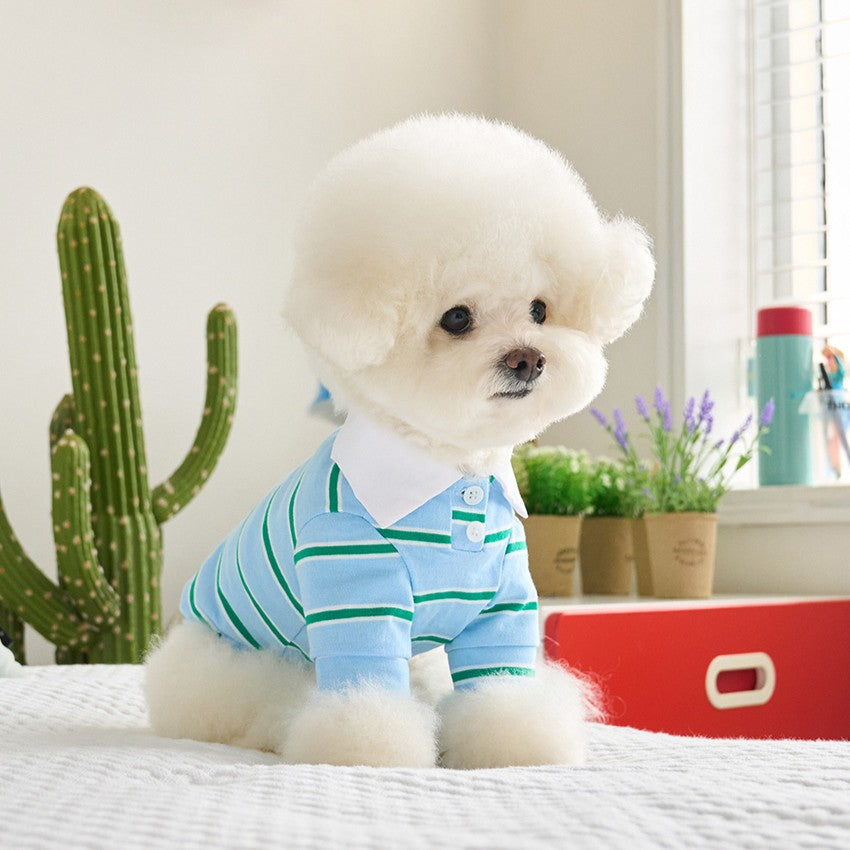 【予約】ストリングカラーTシャツ