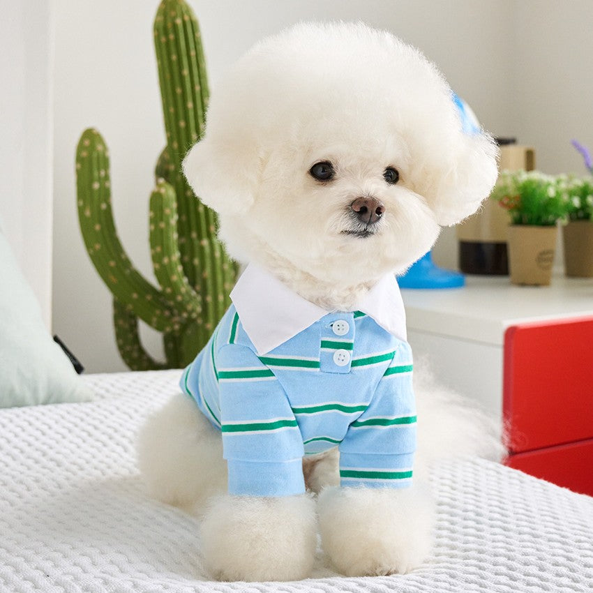 【予約】ストリングカラーTシャツ