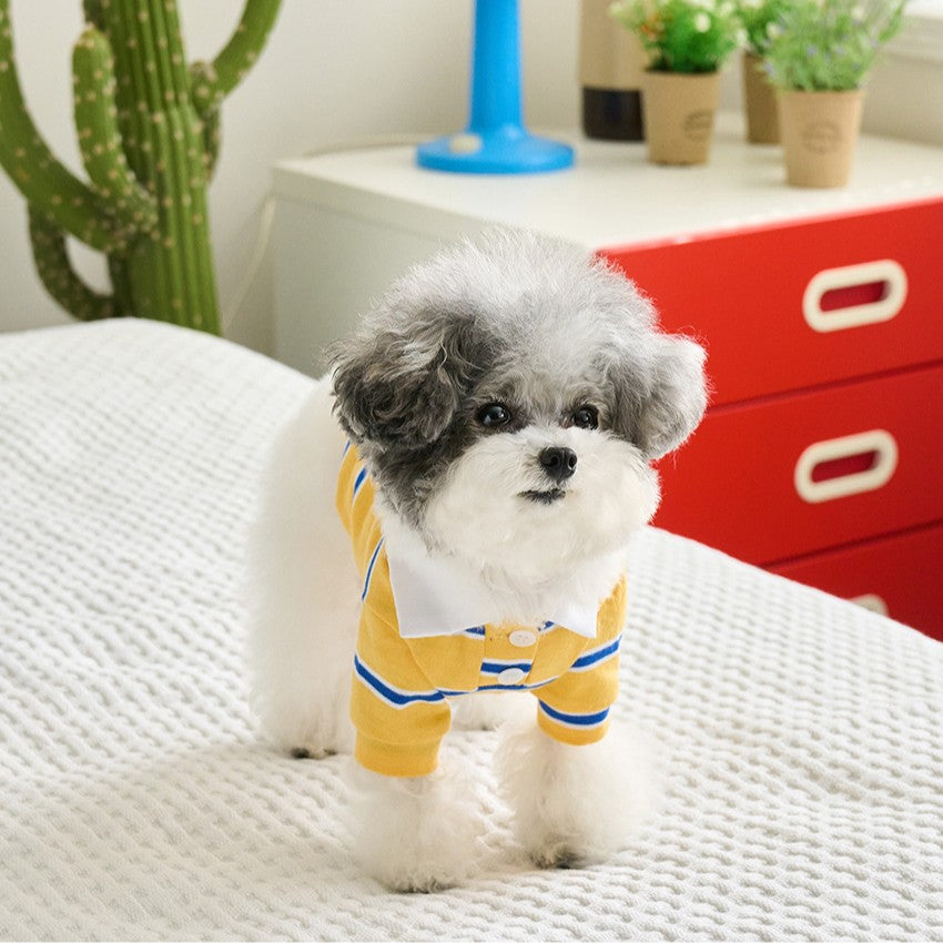 【予約】ストリングカラーTシャツ