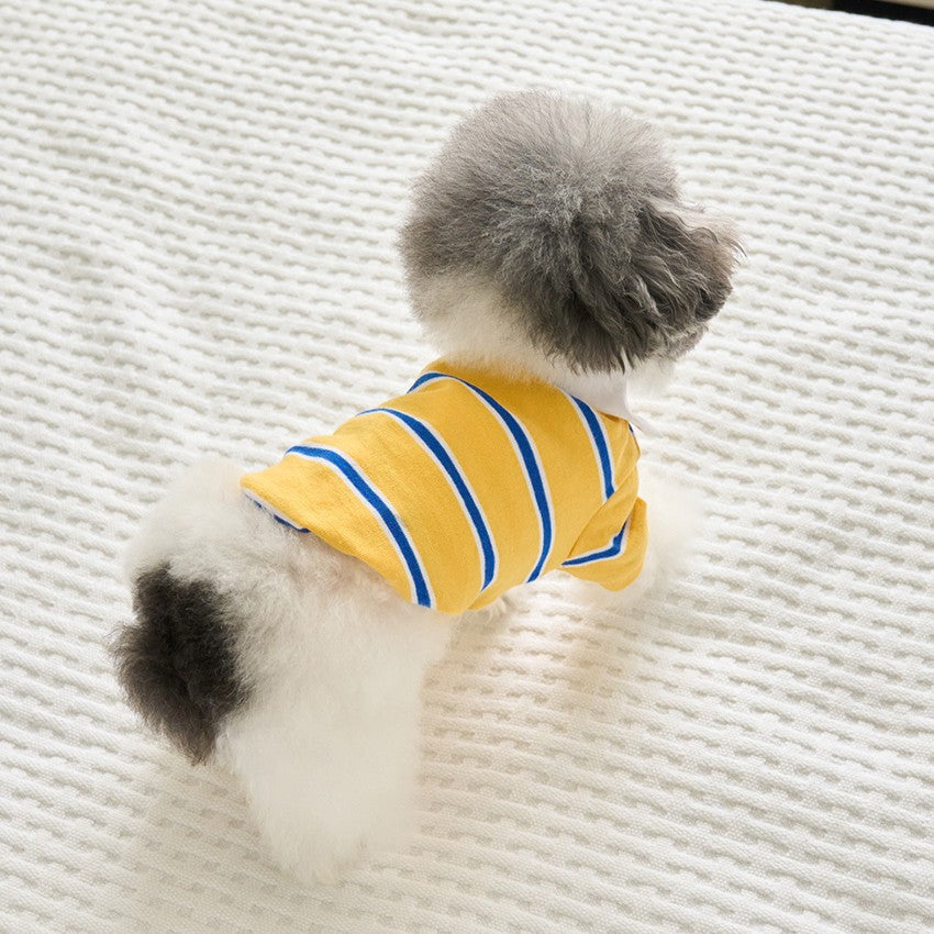 【予約】ストリングカラーTシャツ