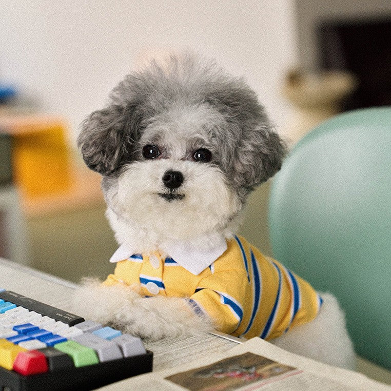 【予約】ストリングカラーTシャツ