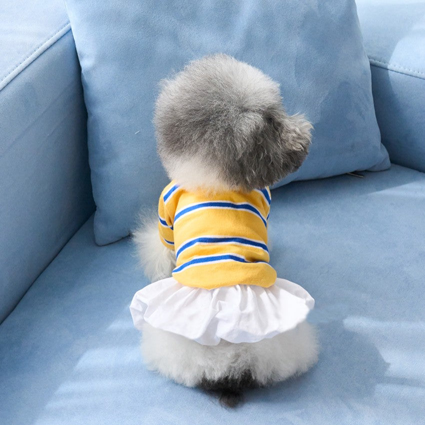 【予約】ストリングカラーTシャツ