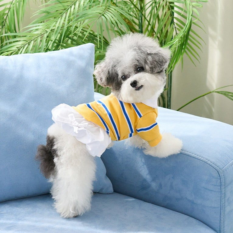 【予約】ストリングカラーTシャツ