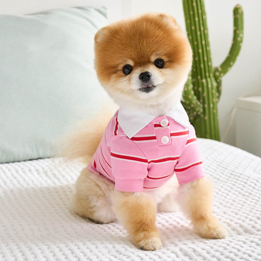 【予約】ストリングカラーTシャツ