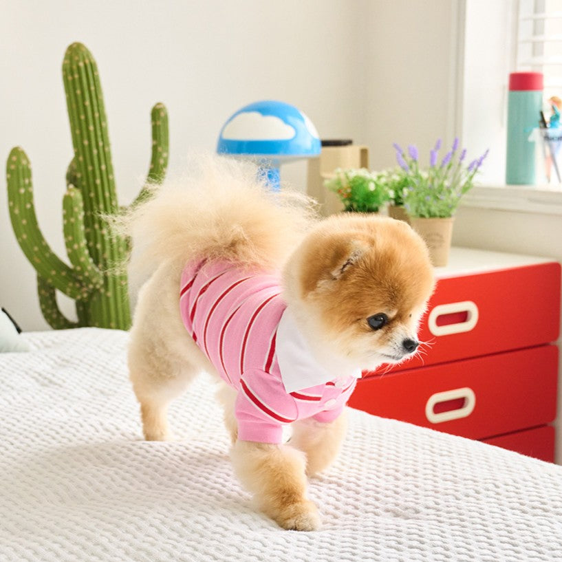 【予約】ストリングカラーTシャツ