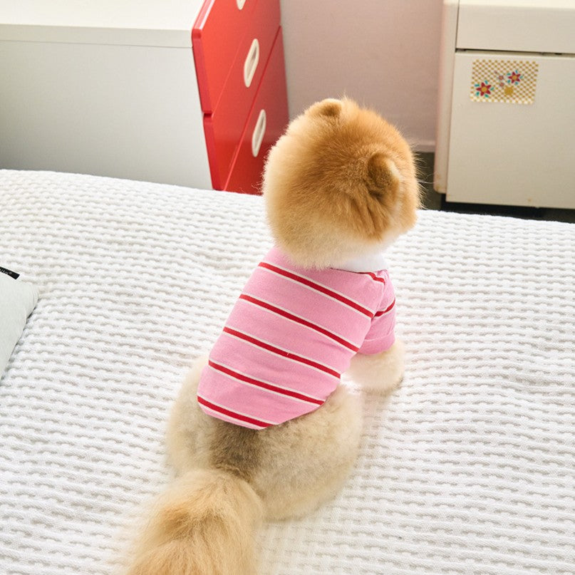 【予約】ストリングカラーTシャツ