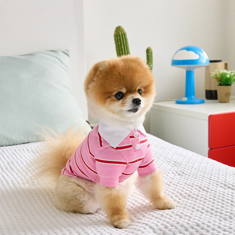 【予約】ストリングカラーTシャツ