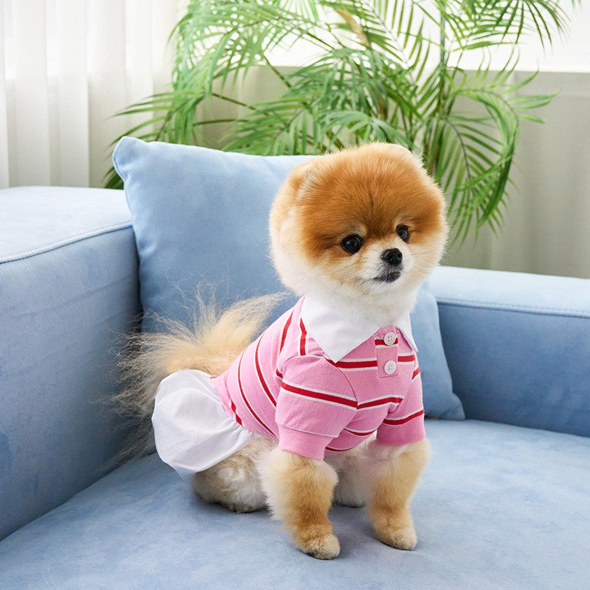 【予約】ストリングカラーTシャツ