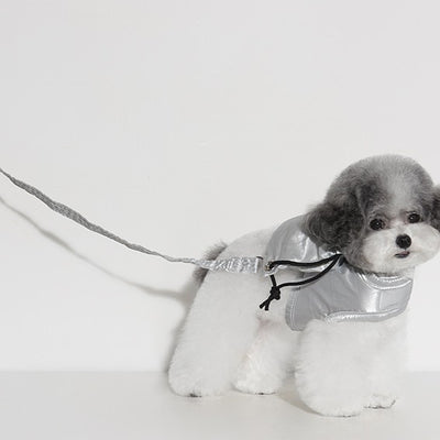 【予約】ストリングタイプお散歩リード（リードのみ）