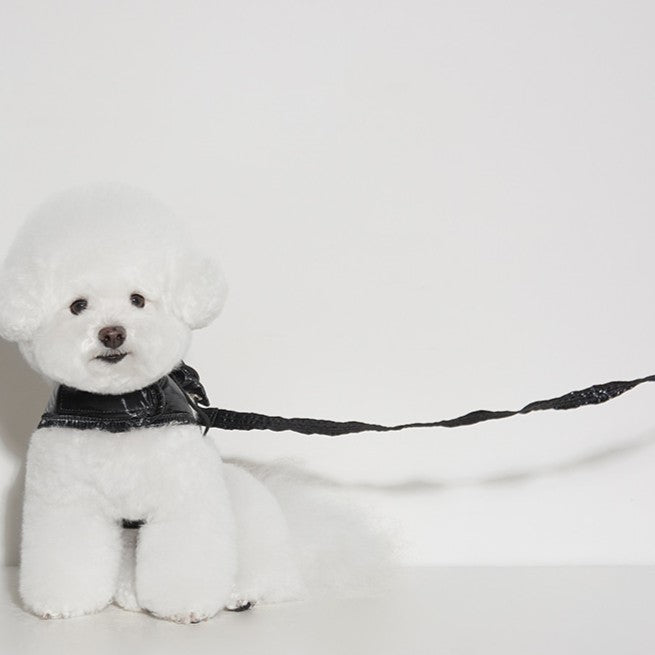 【予約】ストリングタイプお散歩リード（リードのみ）