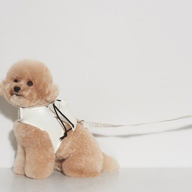 【予約】ストリングタイプお散歩リード（リードのみ）