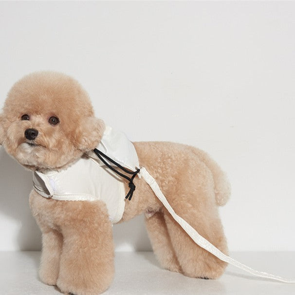 【予約】ストリングタイプお散歩リード（リードのみ）