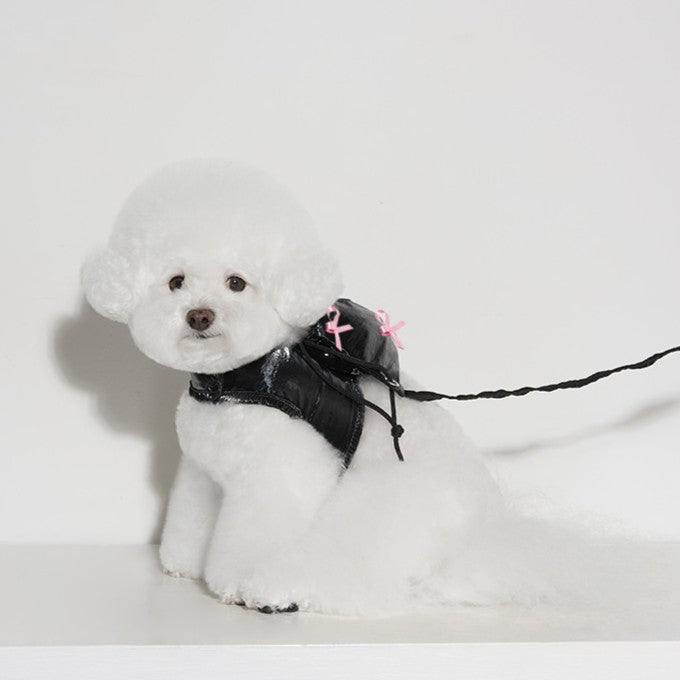 【予約】リボンストリングバックパックハーネス