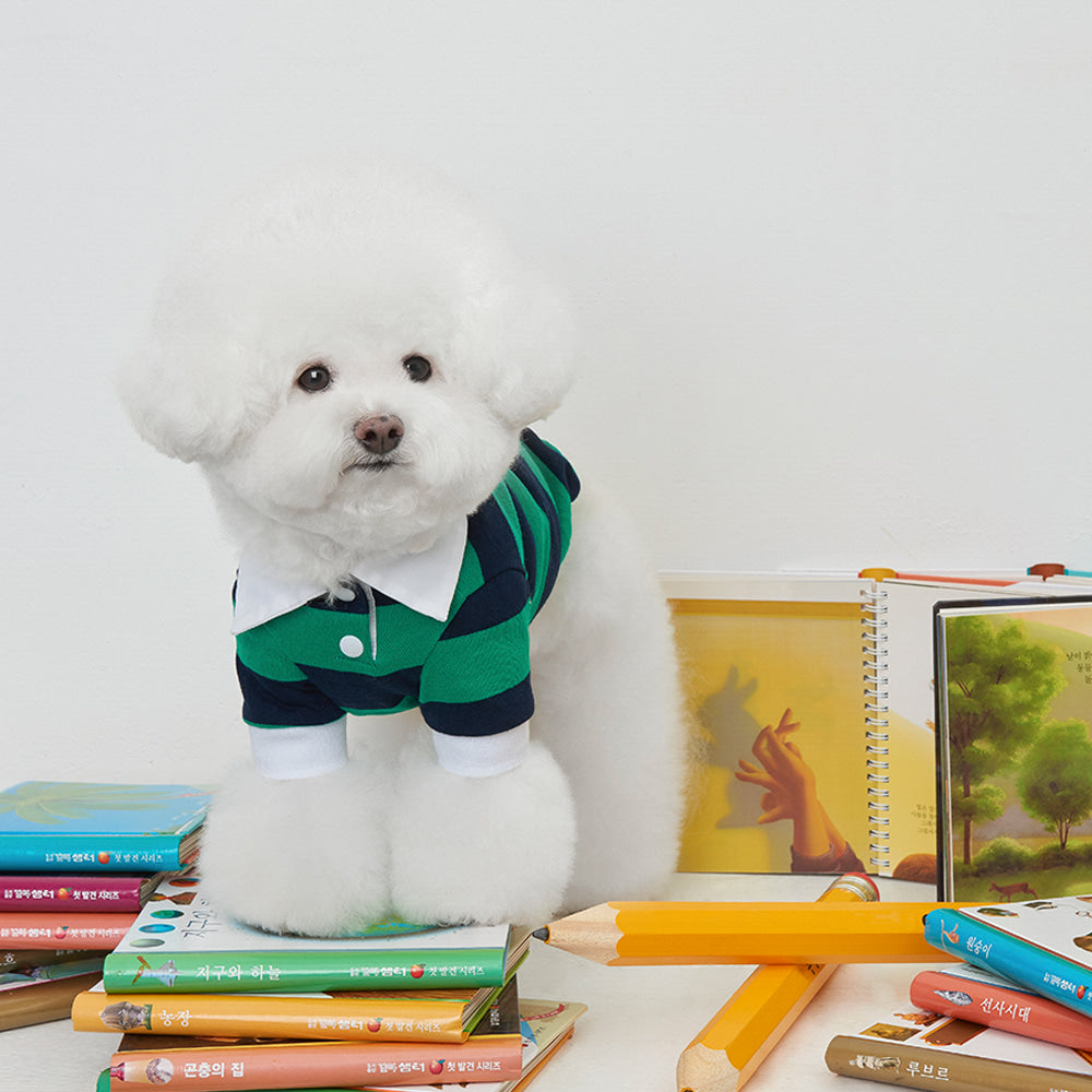 【予約】ストライプ柄ポロシャツ