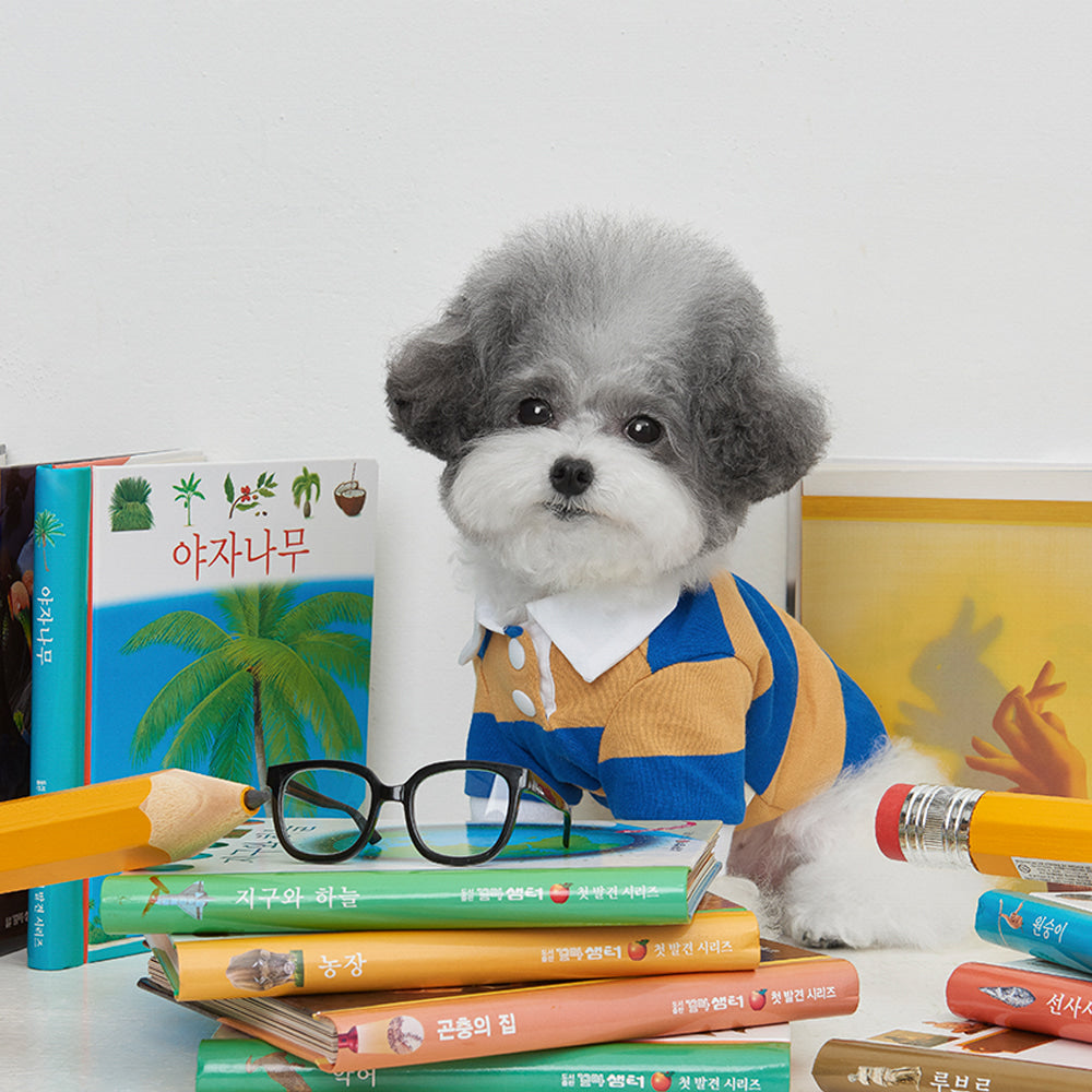 【予約】ストライプ柄ポロシャツ