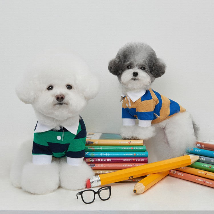 【予約】ストライプ柄ポロシャツ