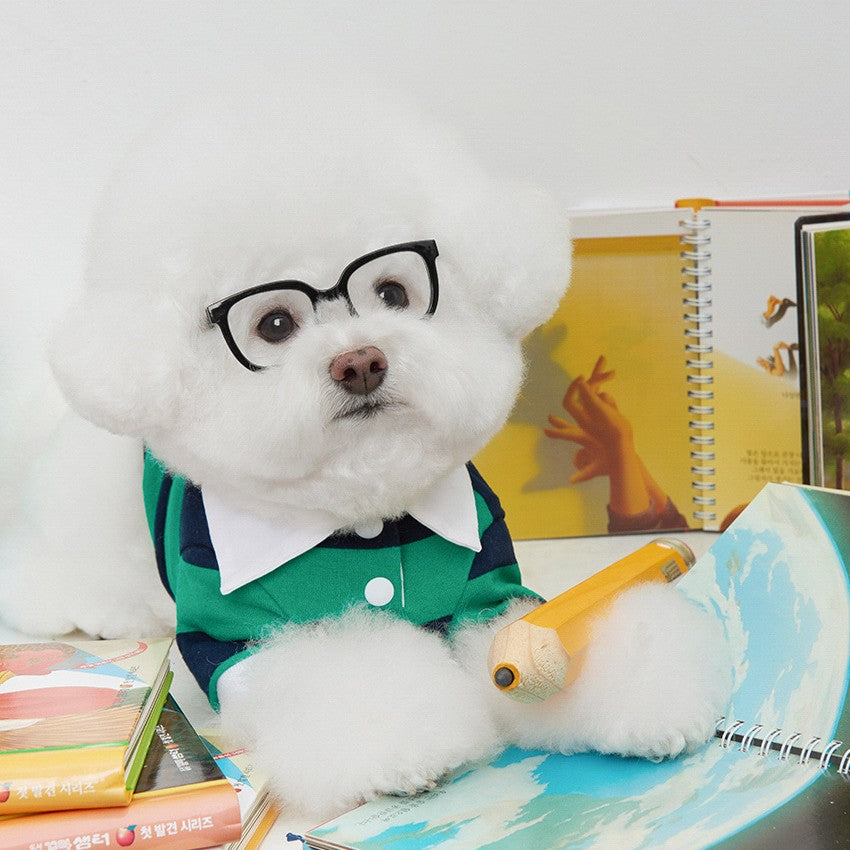 【予約】ストライプ柄ポロシャツ