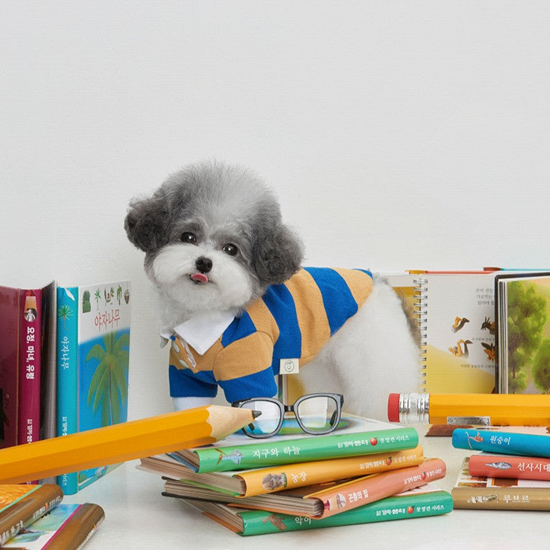 【予約】ストライプ柄ポロシャツ