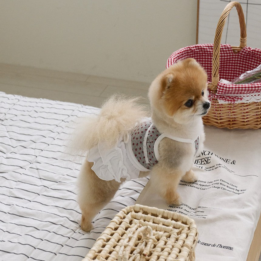 【予約】ベリーベリーカンカンスカート