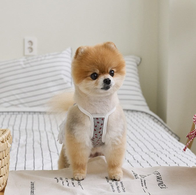 【予約】ベリーベリーカンカンスカート