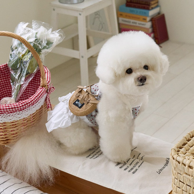 【予約】ベリーベリーカンカンスカート