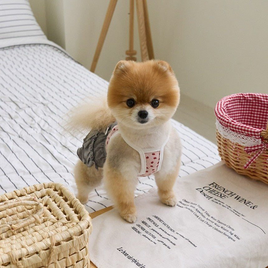 【予約】ベリーベリーカンカンスカート